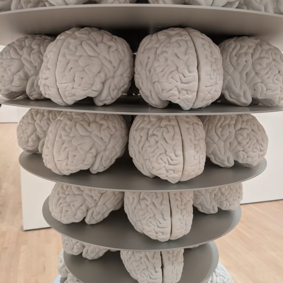 picture of brain sculptures stacked from a visit to the San Francisco MOMA.