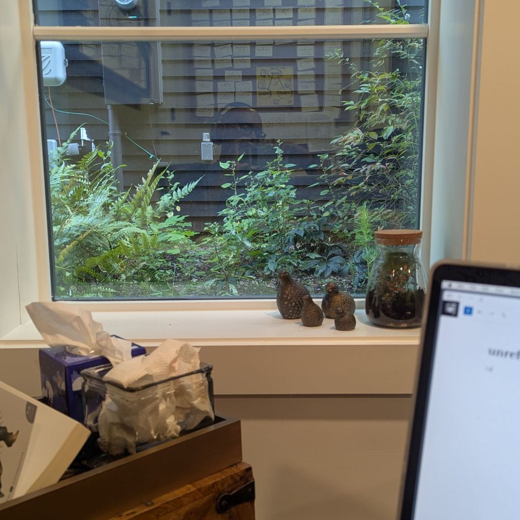 picture of the foliage outside of my window