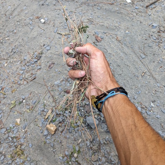 Handfull of dirt